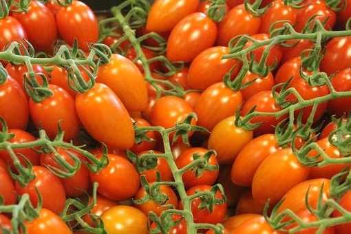 Как увеличить урожай помидоров, помидоры, томаты