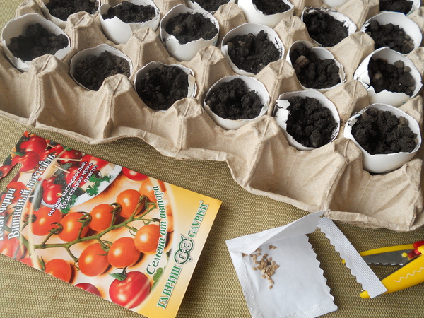 Как вырастить рассаду помидоров в яичной скорлупе Шаг 5